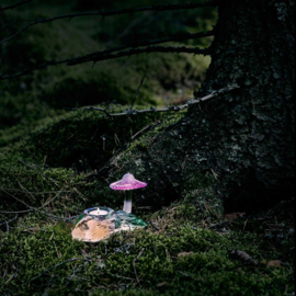 Mushroom - Mats Jonasson