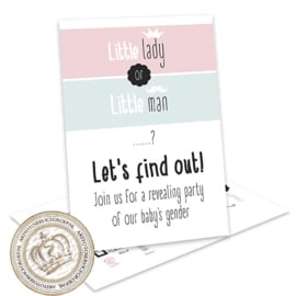 Little lady or little man? - Gender Reveal Party Invites (E)