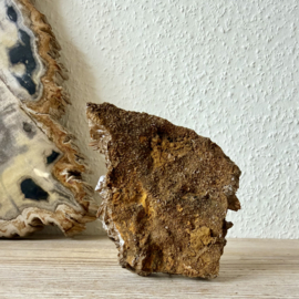 Bruin Bariet cluster