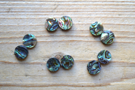 Abalone schelp platte muntjes ca. 12 mm per 2