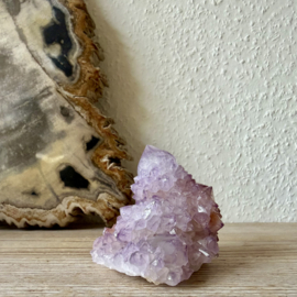Cactus Amethist cluster