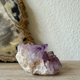 Cactus Amethist cluster