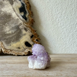 Cactus Amethist cluster