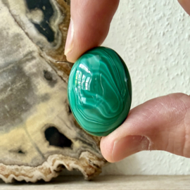 Malachiet cabochon B ca. 22 x 31 mm