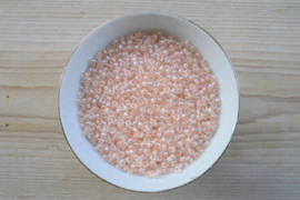 Miyuki 6-4604 Pearlized Effect Salmon (per 10 gram)