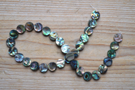 Abalone schelp platte muntjes ca. 12 mm