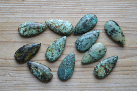 Afrikaans Turquoise