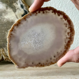 Agaat schijf