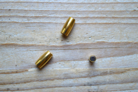 RVS Gold plated magneetsluiting 4 mm ca. 6 x 14 mm