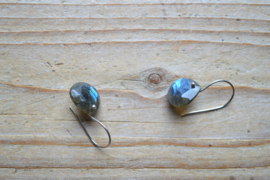 Sterling zilver Oorbellen met Labradoriet