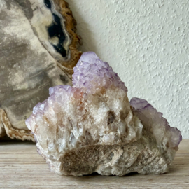 Cactus Amethist cluster