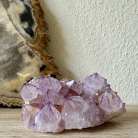 Cactus Amethist cluster