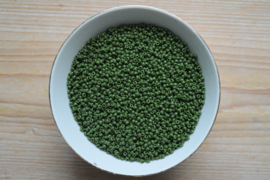 Miyuki 8-501 Opaque Avocado (per 10 gram)