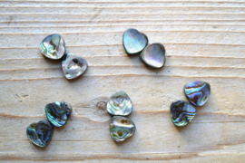 Abalone schelp platte hartjes ca. 12 mm per 2