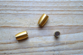 RVS Gold plated magneetsluiting MAT 6 mm ca. 9 x 15 mm