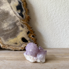 Cactus Amethist cluster