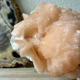 Ruwe Stilbiet op Chalcedoon