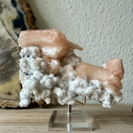 Ruwe Stilbiet op Chalcedoon