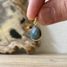 Verguld Sterling zilver hangertje met Labradoriet