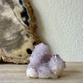 Cactus Amethist cluster