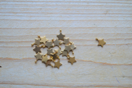 RVS Gold plated bedel ster ca. 8 x 10 mm per stuk