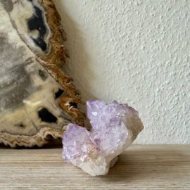 Cactus Amethist cluster