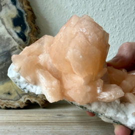 Ruwe Stilbiet op Chalcedoon