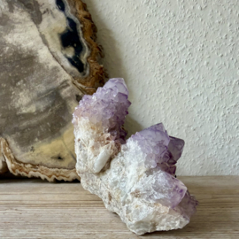 Cactus Amethist cluster