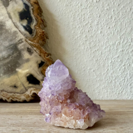 Cactus Amethist cluster