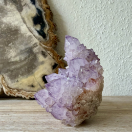 Cactus Amethist cluster