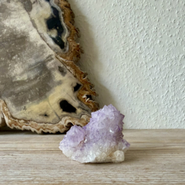 Cactus Amethist cluster