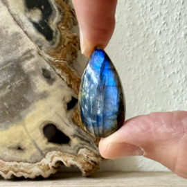Labradoriet cabochon ca. 18 x 36 mm
