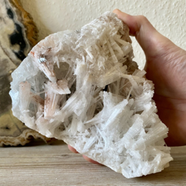 Scolesiet cluster