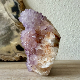 Cactus Amethist cluster