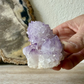 Cactus Amethist cluster
