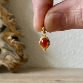 Verguld Sterling zilver hangertje met Carneool