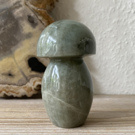 Groene Maansteen paddestoel
