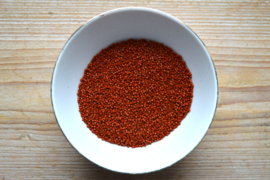 Miyuki Delica’s 11-794 Opaque SF Dyed Sienna (per 5 gram)