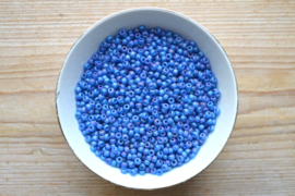 Miyuki 6-149FR Transparant Matte AB Capri Blue (per 10 gram)