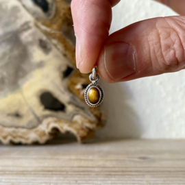 Sterling zilver hangertje met Tijgeroog