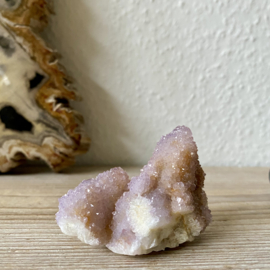 Cactus Amethist cluster