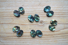 Abalone schelp platte ovaaltjes ca. 13 x 18 mm per 2