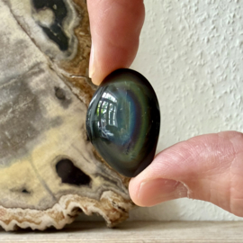 Regenboog Obsidiaan cabochon ca. 23 x 32 mm