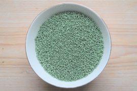 Miyuki 11-4215 Duracoat Galvanized Sea Green (per 10 gram)