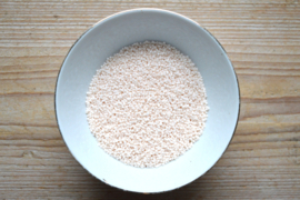 Miyuki Delica’s 11-1490 Opaque Bisque White (per 5 gram)