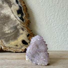 Cactus Amethist cluster