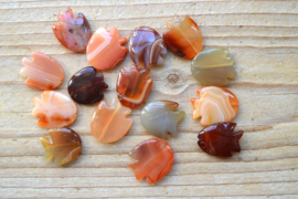 Carneool visjes ca. 18 x 20 mm per stuk