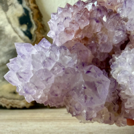 Cactus Amethist cluster