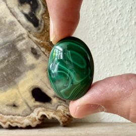 Malachiet cabochon F ca. 22 x 31 mm