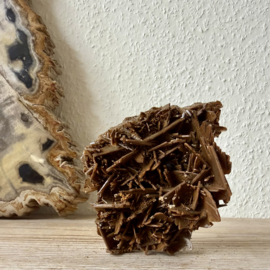 Bruin Bariet cluster